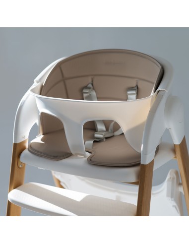 Trona Evolutiva Flex 3-en-1 Love & Carry