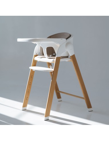 Trona Evolutiva Flex 3-en-1 Love & Carry