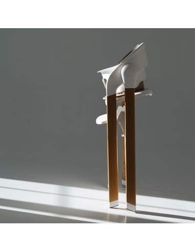 Trona Evolutiva Flex 3-en-1 Love & Carry