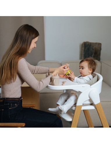 Trona Evolutiva Flex 3-en-1 Love & Carry