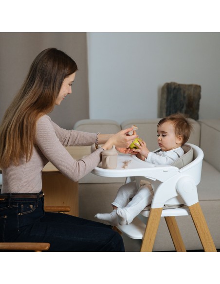 Trona Evolutiva Flex 3-en-1 Love & Carry