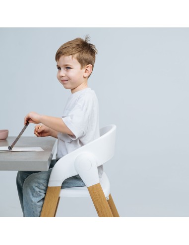 Trona Evolutiva Flex 3-en-1 Love & Carry